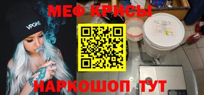 крисы Камышлов