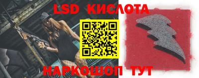 крисы Камышлов