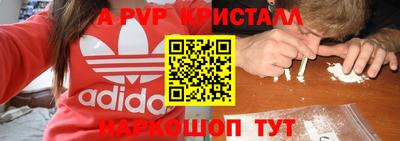 крисы Камышлов